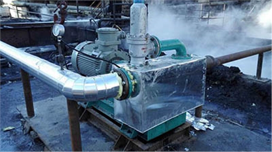 羅德煤渣水提升轉(zhuǎn)子泵20160622 羅德煤渣水提升轉(zhuǎn)子泵20160622