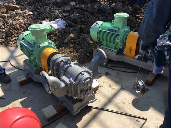 羅德乙醇卸車轉(zhuǎn)子泵安裝準(zhǔn)備工作 羅德乙醇卸車轉(zhuǎn)子泵安裝準(zhǔn)備工作