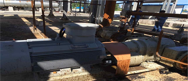 羅德原油卸車轉(zhuǎn)子泵