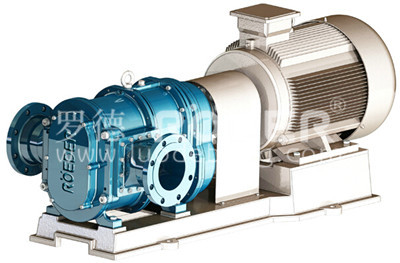 凸輪轉(zhuǎn)子泵 凸輪轉(zhuǎn)子泵