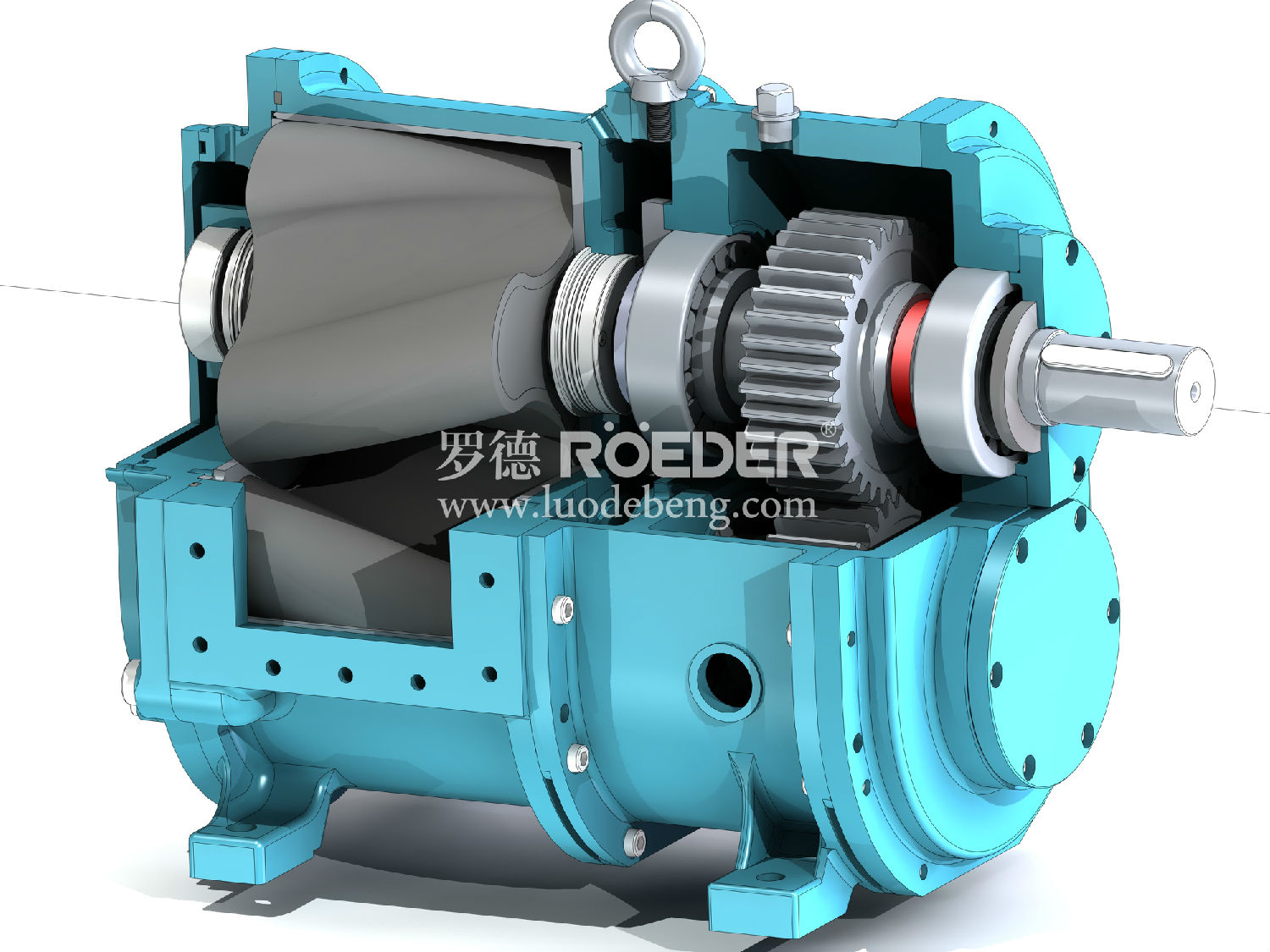 轉(zhuǎn)子泵 轉(zhuǎn)子泵