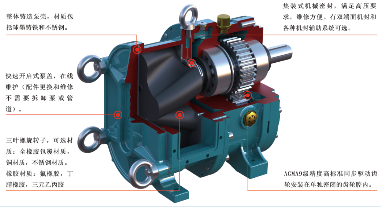 轉(zhuǎn)子泵結(jié)構(gòu) 轉(zhuǎn)子泵結(jié)構(gòu)