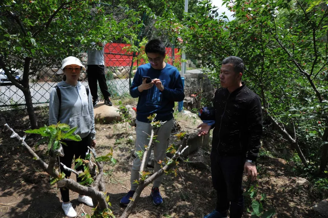 羅德春游 羅德春游